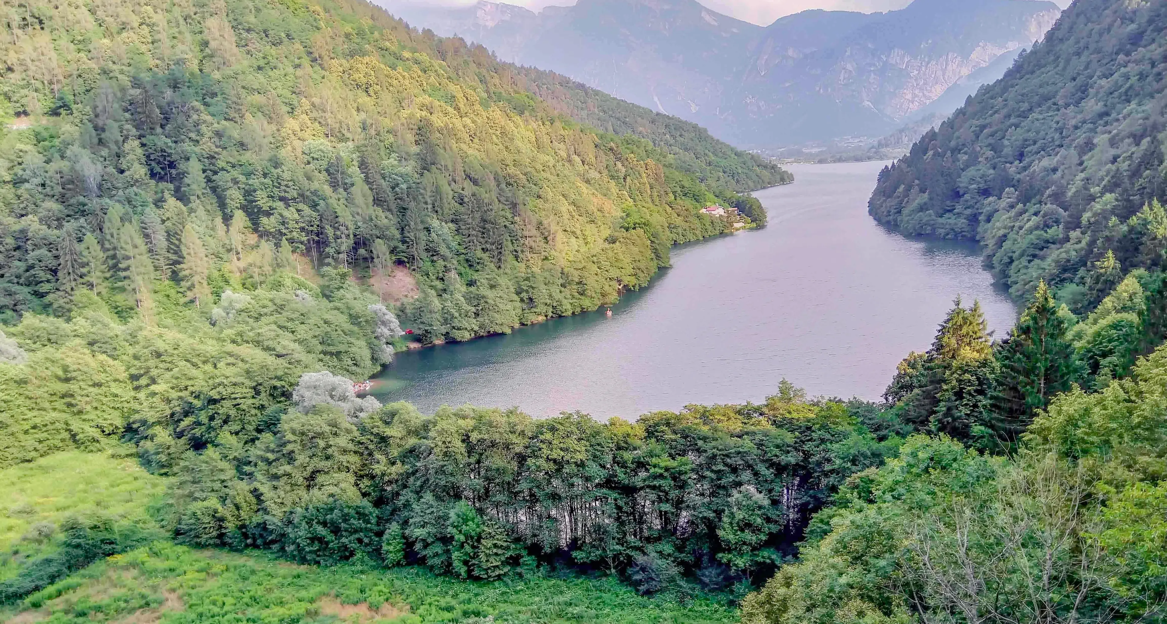 Comitato \"In armonia con il lago\" e WWF hanno pulito le oasi Pizé e Baruchelli