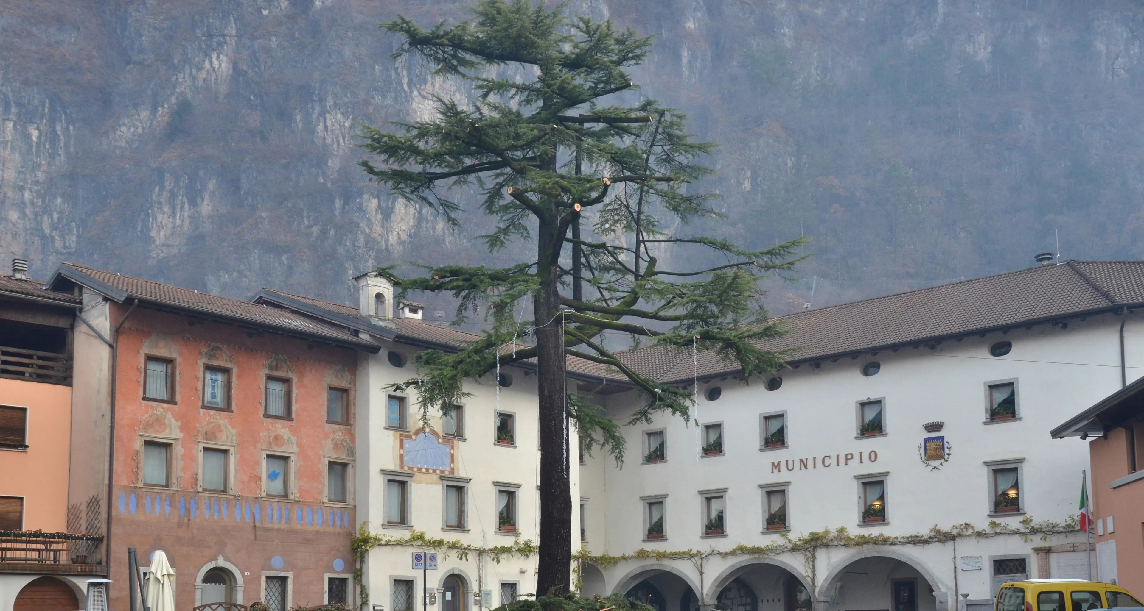 Storo, pochi votanti al referendum per il cedro ma la maggioranza non vuole sia abbattuto
