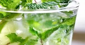 È il Mojito il cocktail più «social» dell’estate