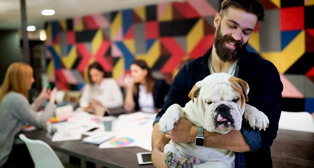 Cane in ufficio, 7 milioni in Italia Ecco il decalogo dei benefici
