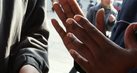Senegalese alla Asl, cacciato: «Qui non c'è il veterinario»