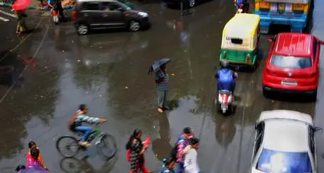 India: trovati corpi 14 neonati sepolti
