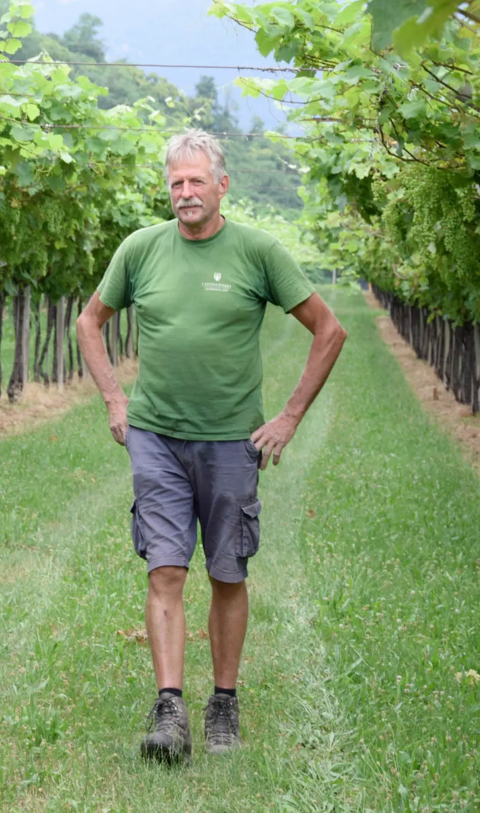 E' di Scrinzi la vigna eccellente