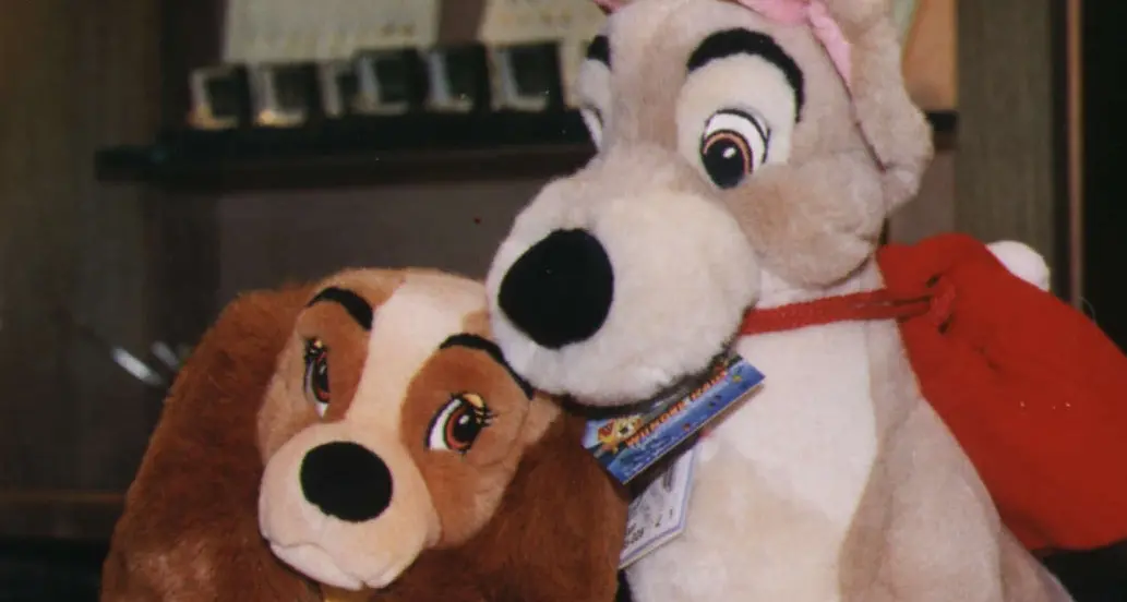 I peluche riciclati per i bimbi ricoverati all'ospedale