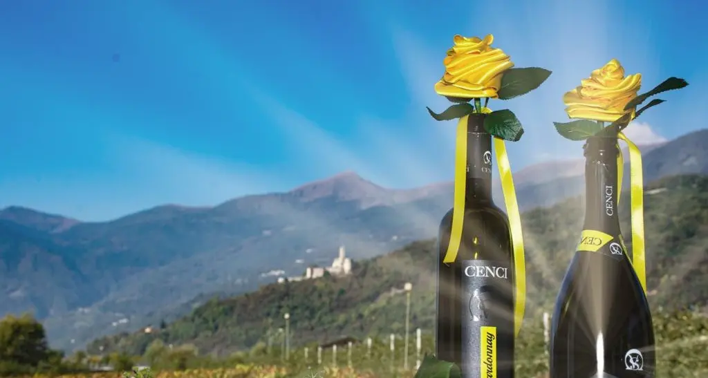 Il sogno di Baldessari e Cenci è realtà: la Bassa Valsugana ha il suo Trentodoc