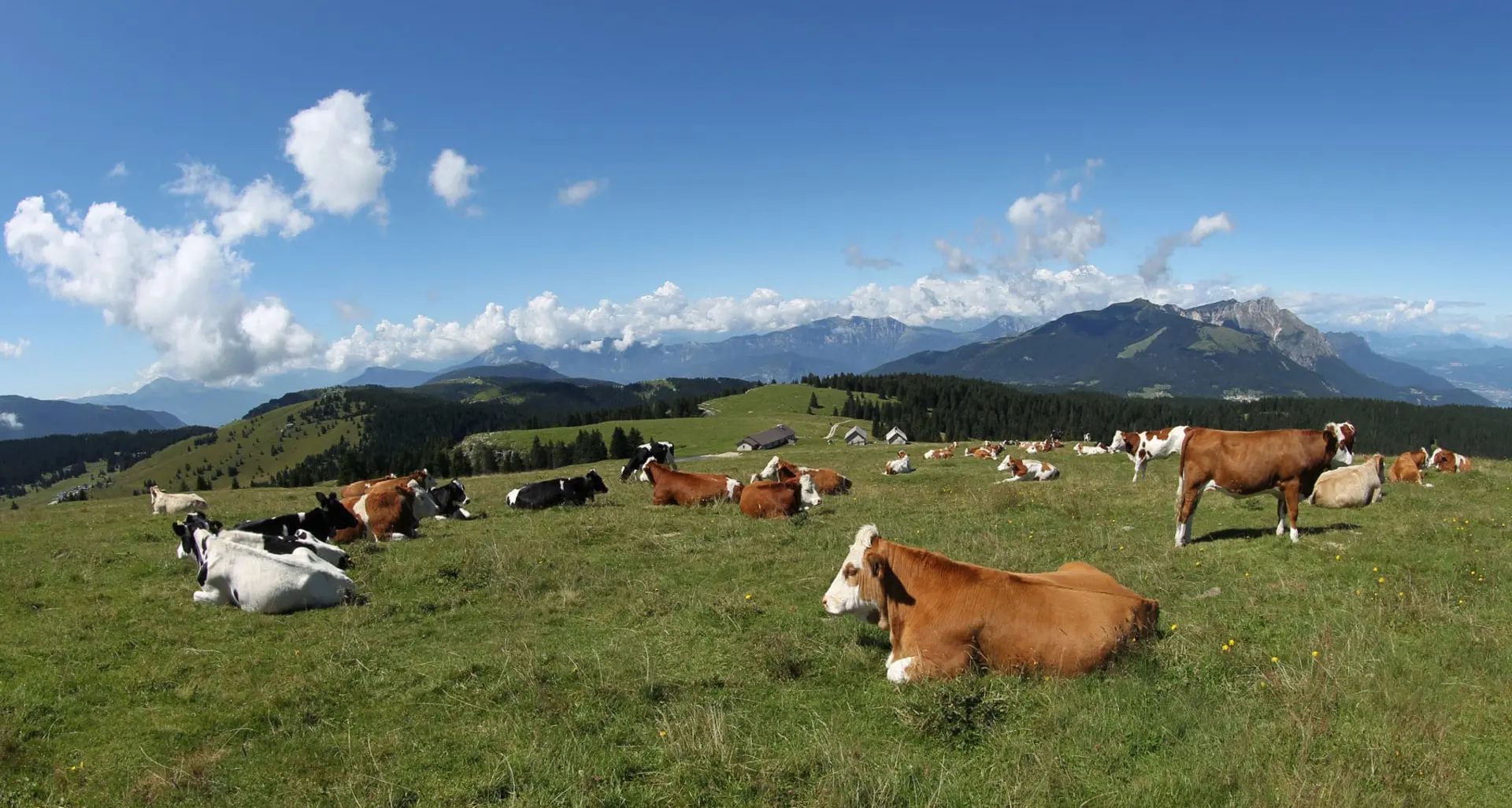L'Alpe Cimbra punta sul «green» Il sindaco Corradi tutela il territorio