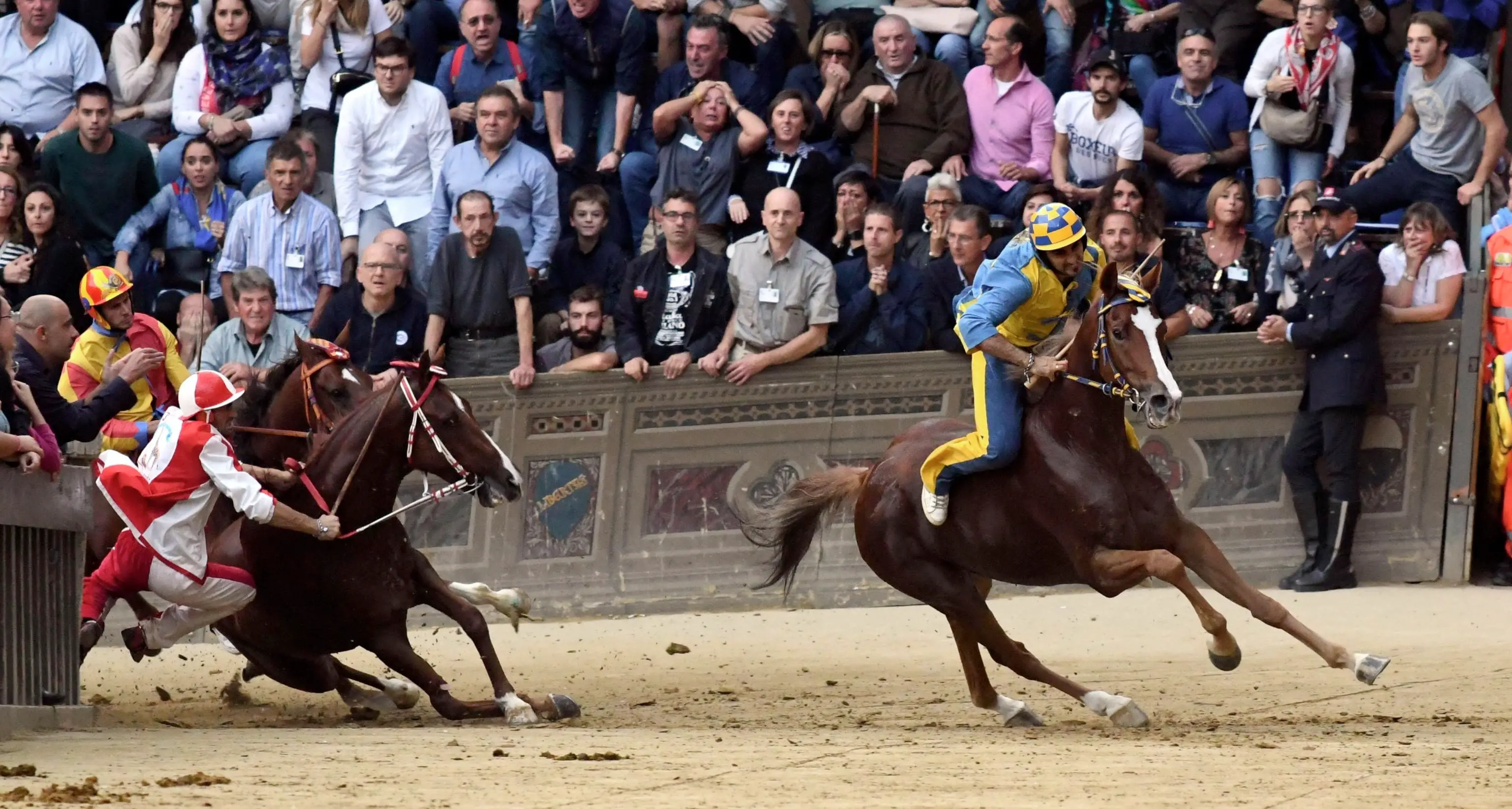 Il cavallo Raol abbattuto: polemiche sul Palio di Siena