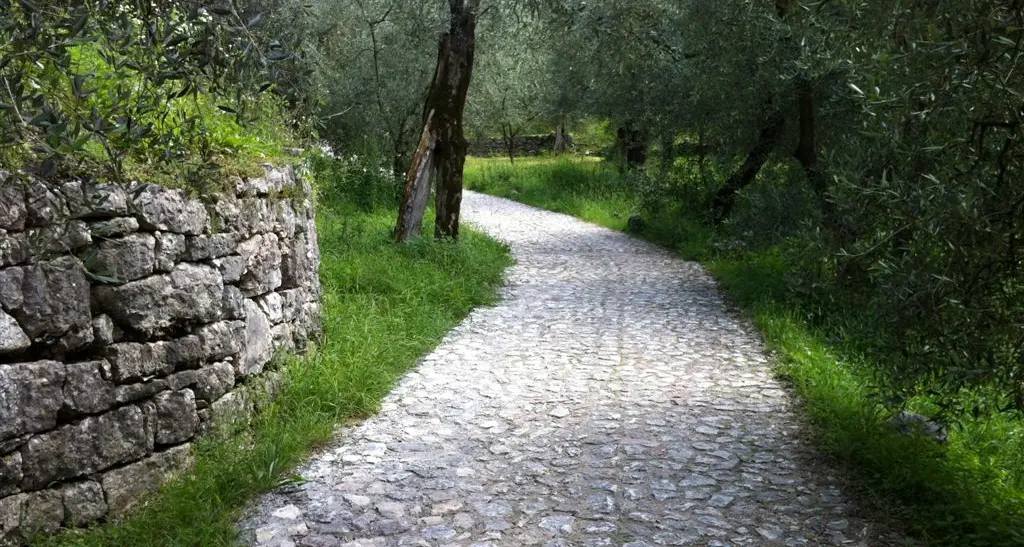 Coste del Baone, tra passeggiata e via alpinistica