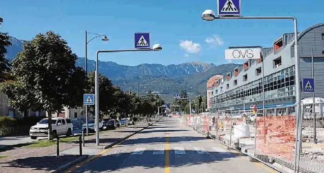 Rovereto: 35 ippocastani al posto delle 47 piante abbattute