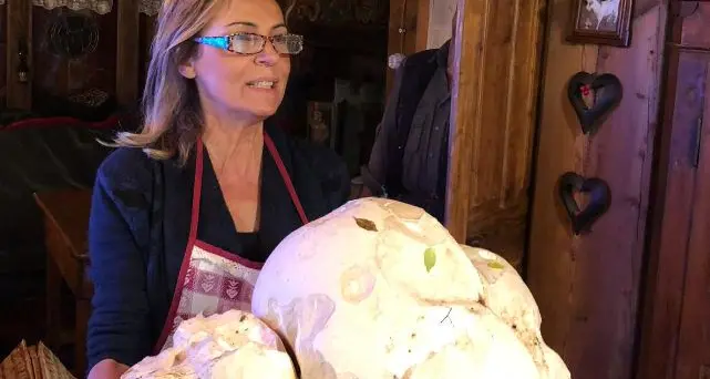 L'incredibile vescia di 7,6 chili Trovata a Fazzon da Attilia
