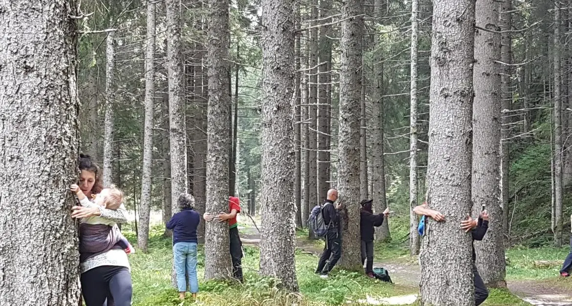 A piedi nudi, abbracciando gli alberi: grande successo