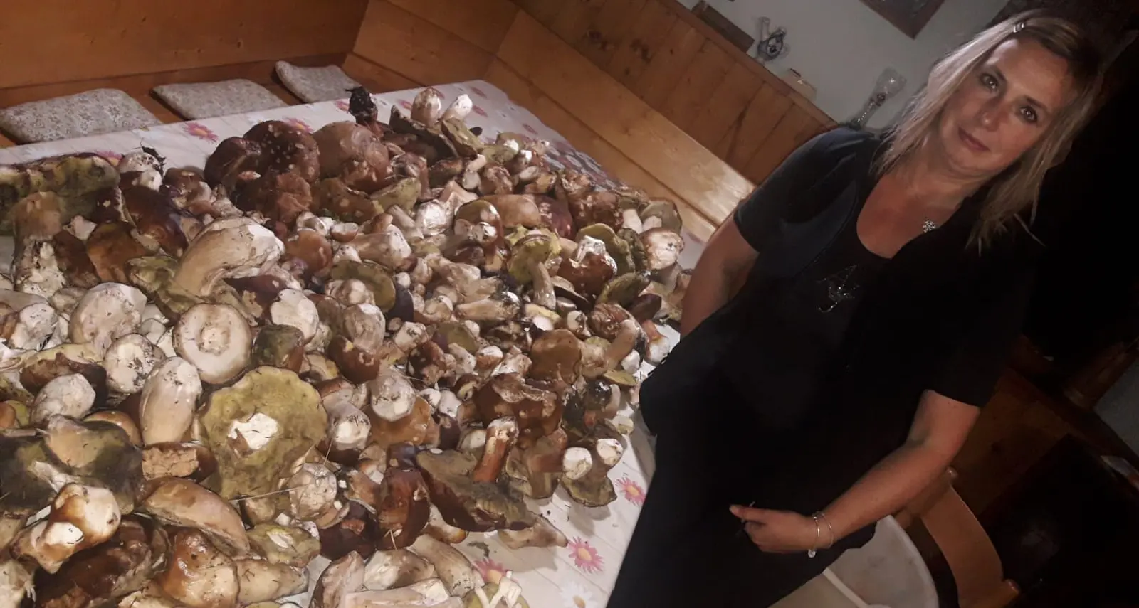 Funghi, stagione da ricordare Raccolta record a Predazzo