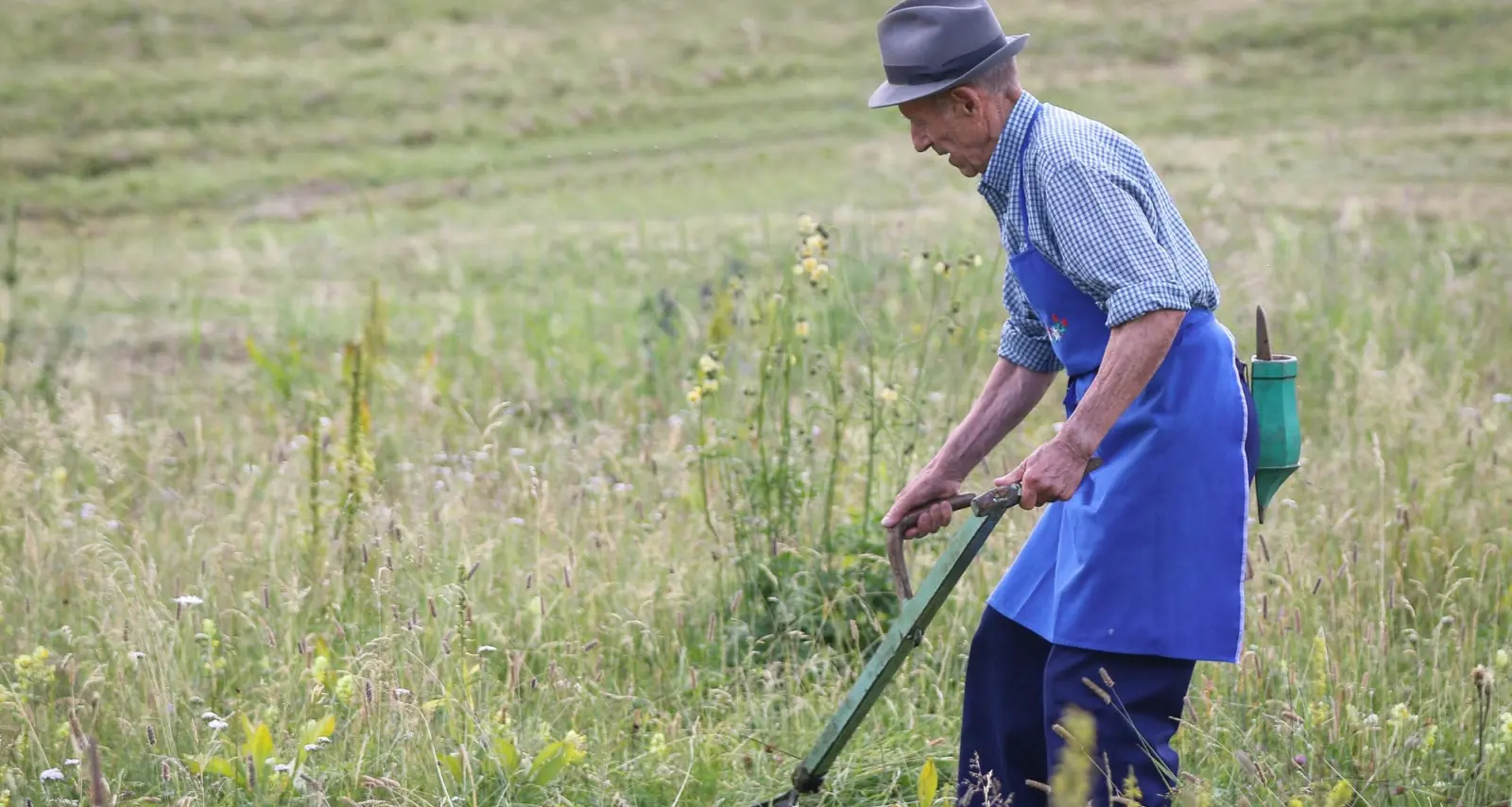 L'agricoltura 4.0 spiegata dal Rotary club
