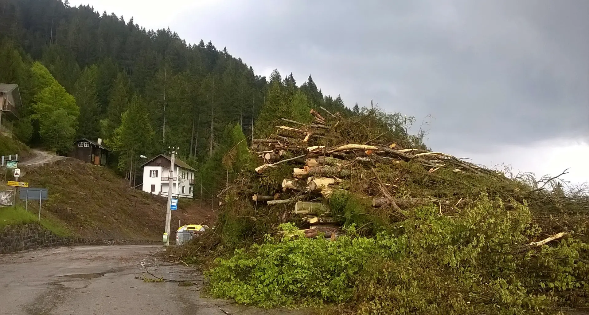 Vetriolo, via un pezzo di bosco