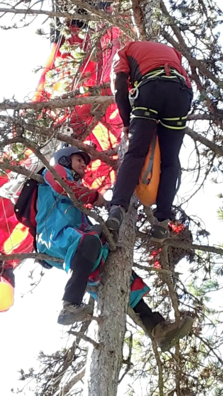Pietramurata base jumper illeso su pianta
