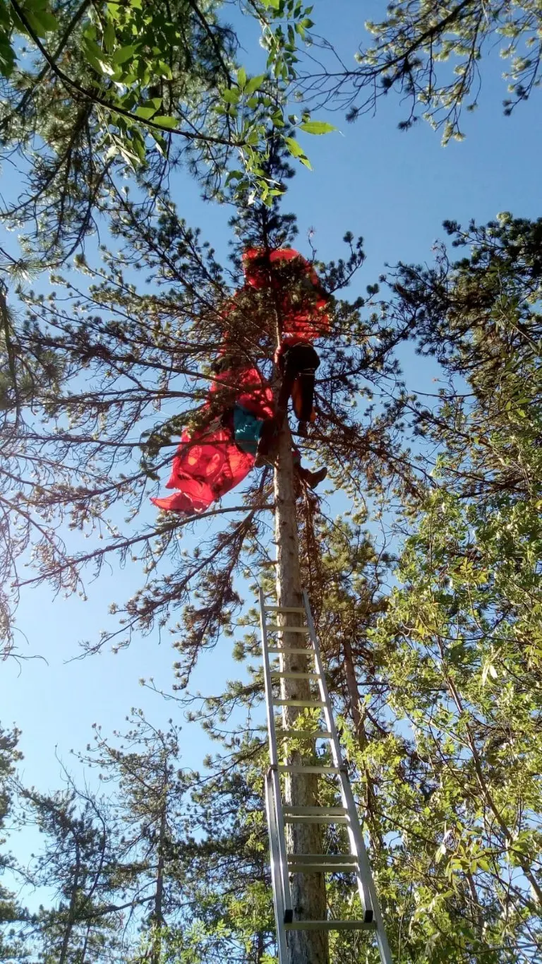 Pietramurata base jumper illeso su pianta