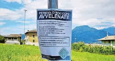 Cani e bocconi, serata annullata