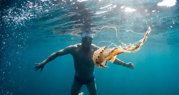 A nuoto lungo Canale Manica per difendere il mare