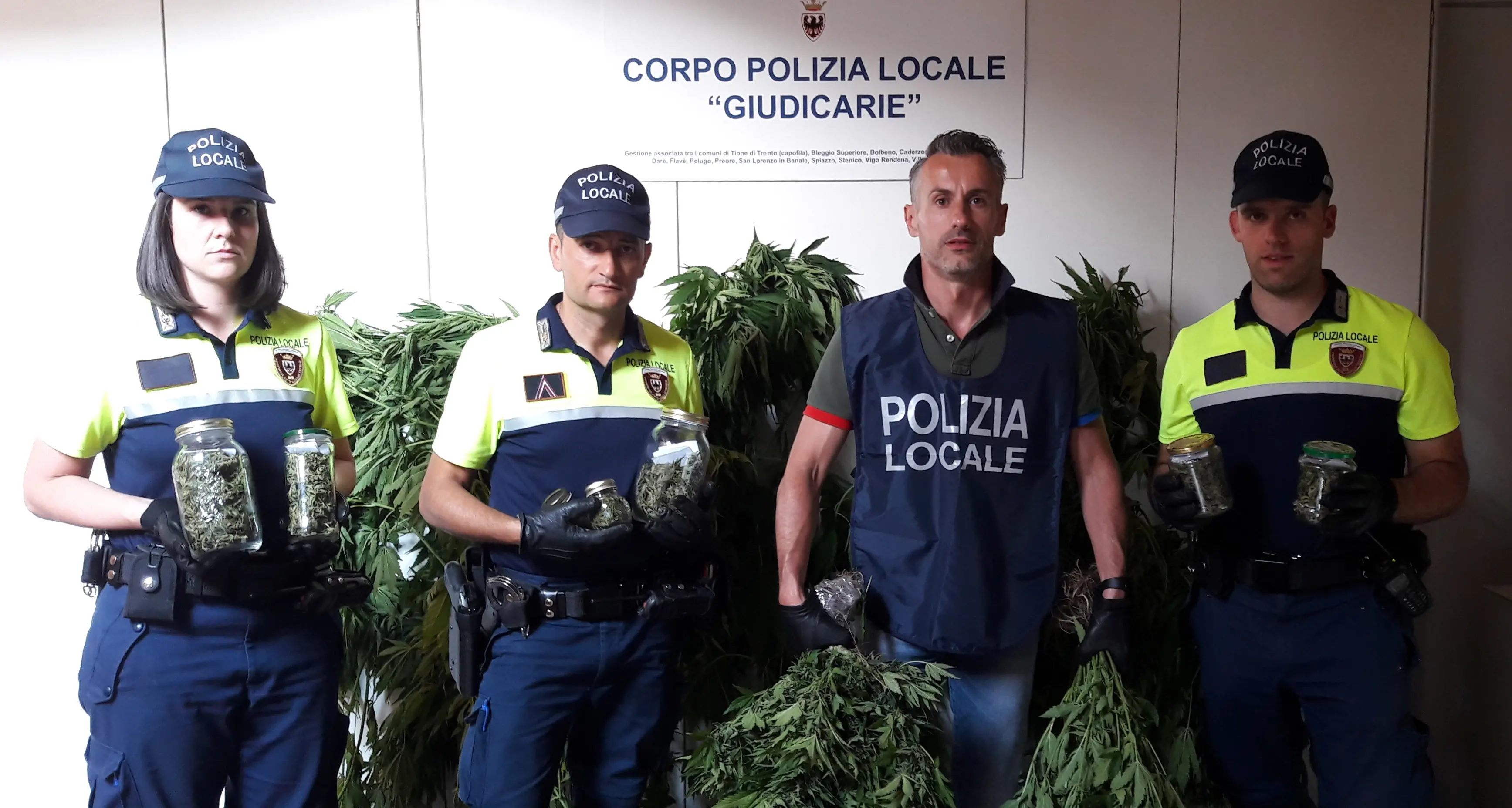 Sequestrate 25 piante di marijuana, denunciato 45enne
