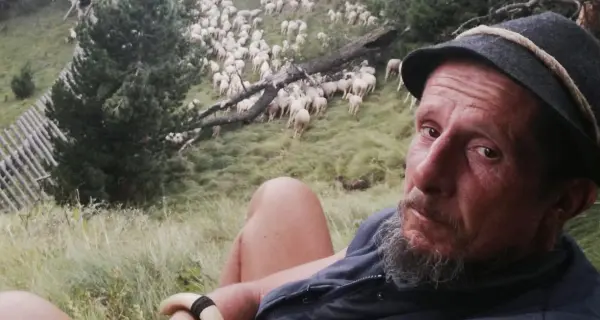 Il pastore felice del Buffaure «È bellissimo che ci sia il lupo»