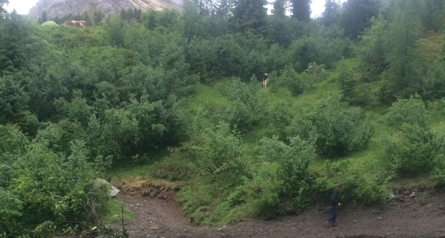 Maltempo in val di Fassa: disagi ma pochi danni in quota