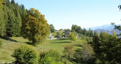 I faggi secolari di Somator sotto tutela
