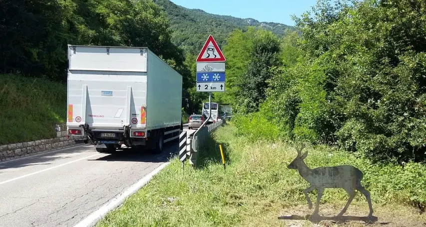 Sagome di animali selvatici al posto dei classici segnali per allertare gli automobilisti