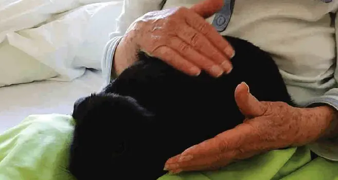 Avere un cane allunga la vita i «pet» che fanno bene soprattutto agli anziani