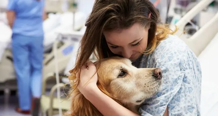 Animali, sempre più aziende consentono di portarli in ufficio