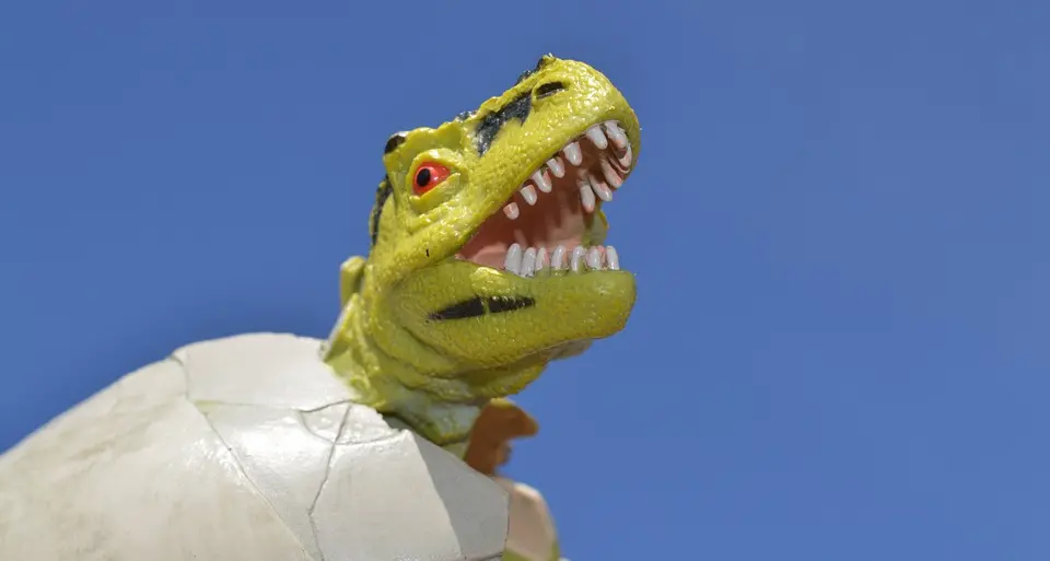 «Mio fratello rincorre i dinosauri» Teatro e cinema: oggi in Trentino