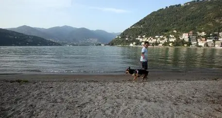 Subacqueo di 60 anni muore in immersione nel lago di Como