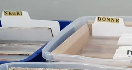 Vende dischi al mercatino, Divisi in \"Uomini\", \"Donne\", \"Negri\"