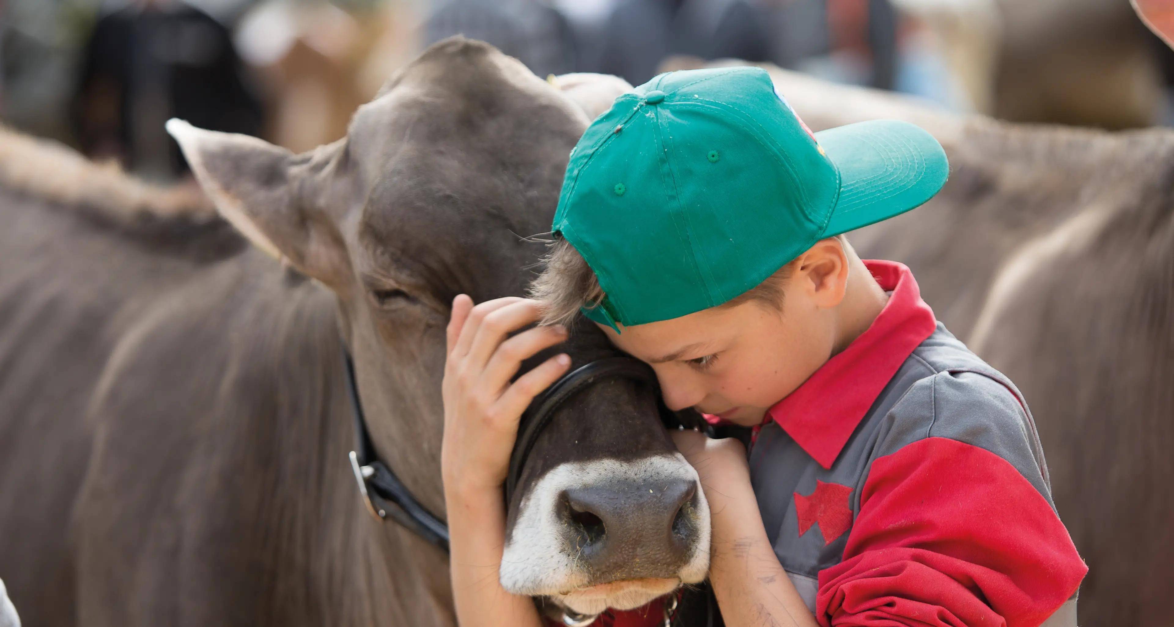 La Mostra dell'Agricoltura e La Casolara insieme a Trento Expo il 17 e 18 marzo
