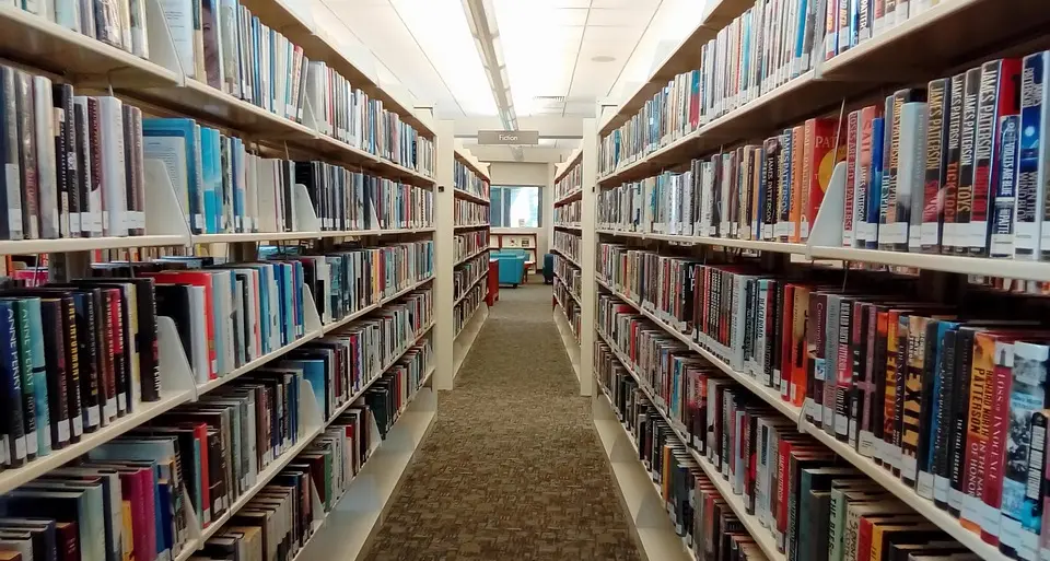Bibliotecari oppressi dalla burocrazia I pericoli degli appalti alle coop