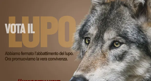 «Vota il lupo»; il Wwf lancia la «sua» campagna elettorale