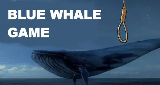 Blue Whale, verso il processo Reato derubricato a stalking