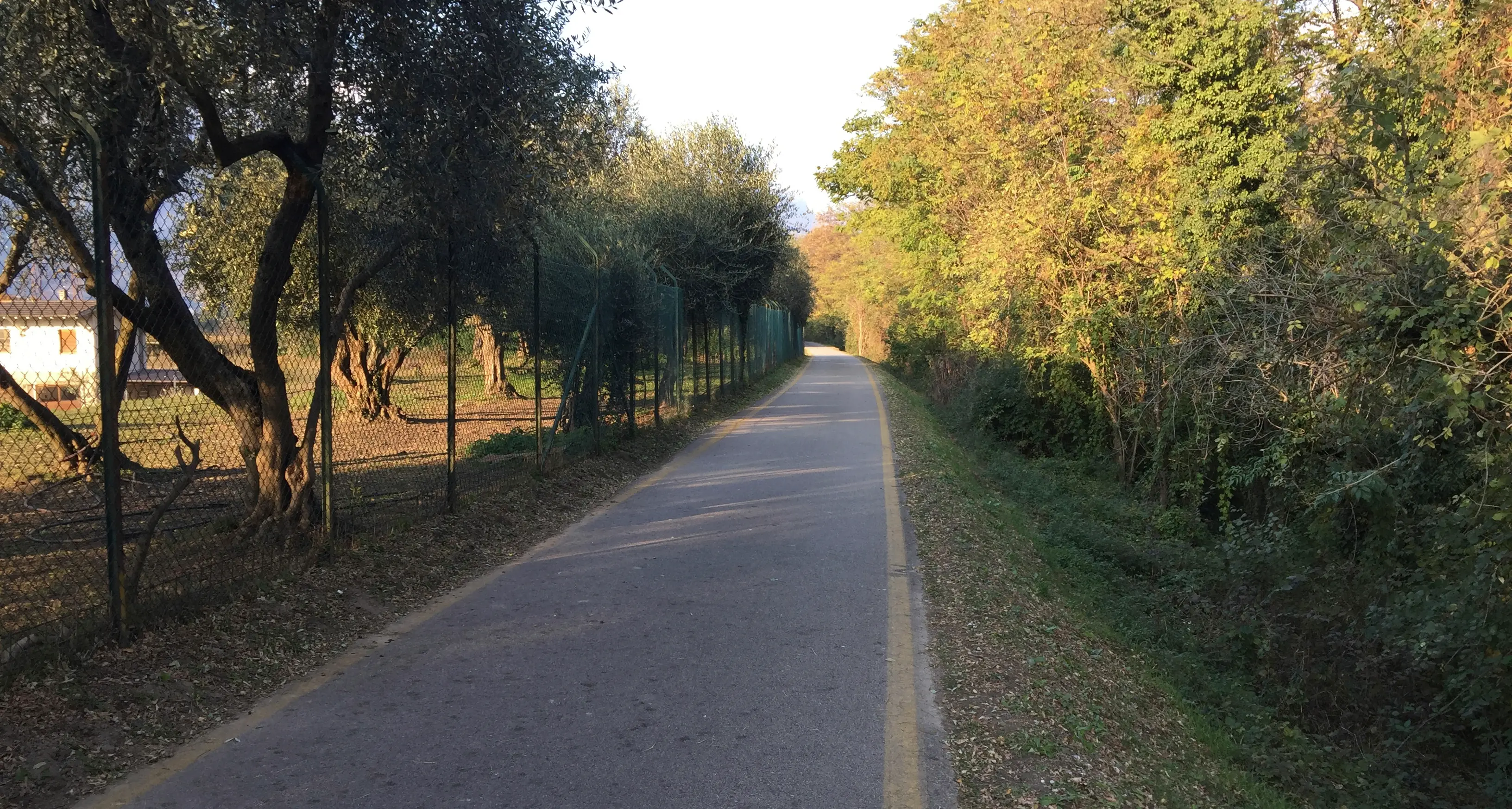 «Sul bicigrill decida il Comune di Arco»