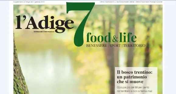 Domani torna in edicola il nostro magazine l'Adige 7