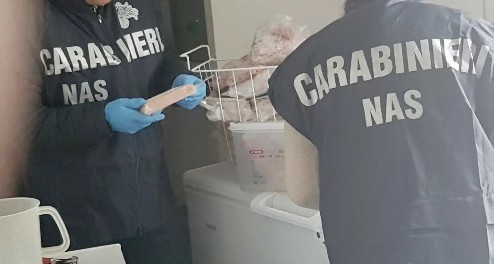 Cento chili di pesce lasciati in strada