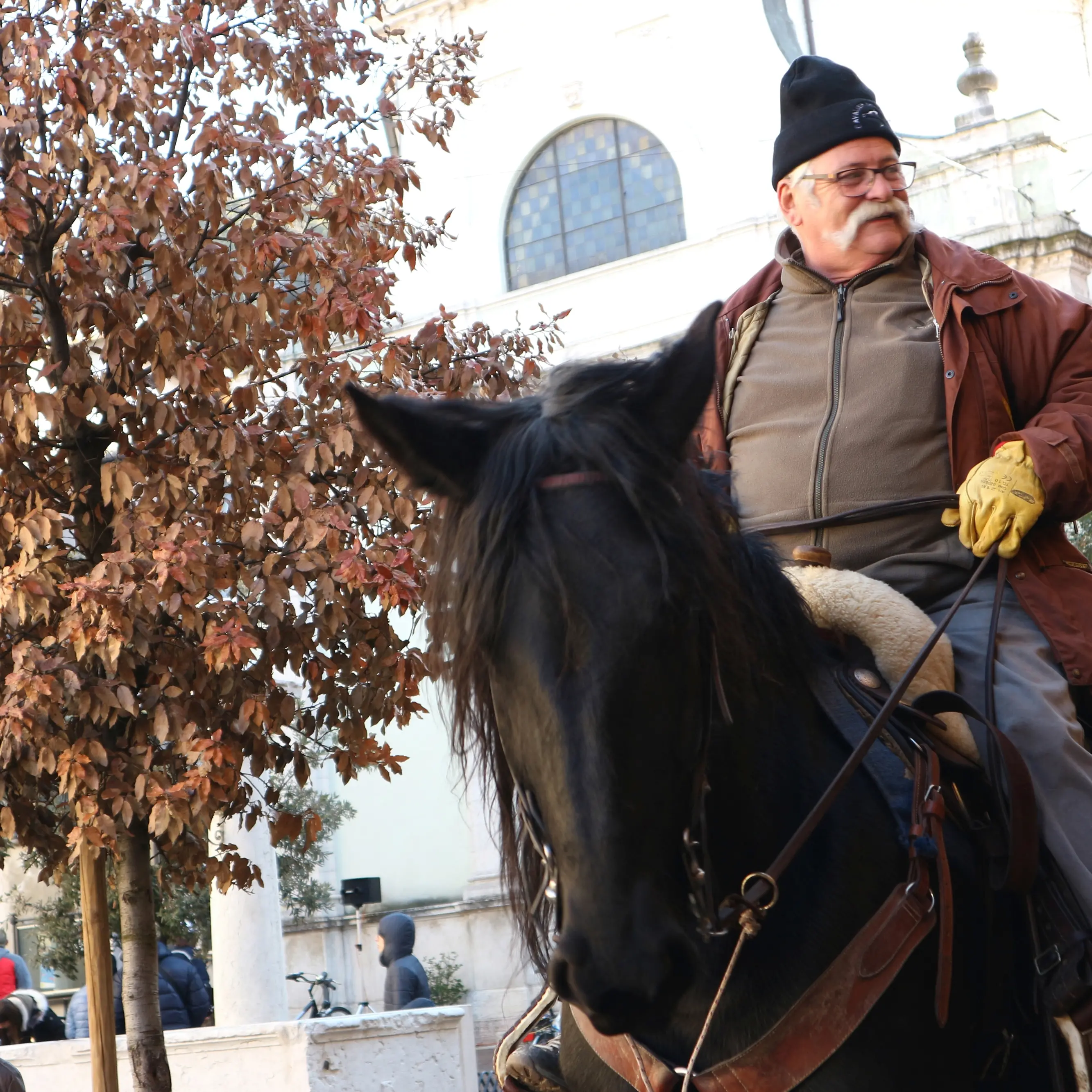 Animali da benedire a Lizzanella In piazza dai cavalli ai furetti