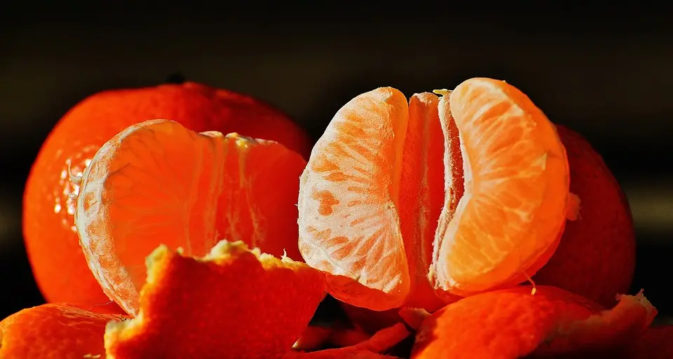 Frutta e verdura: da oggi i sacchetti sono a pagamento In supermercati e negozi solo shopper biodegradabili