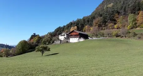Masi come laboratorio protetto in Alto Adige