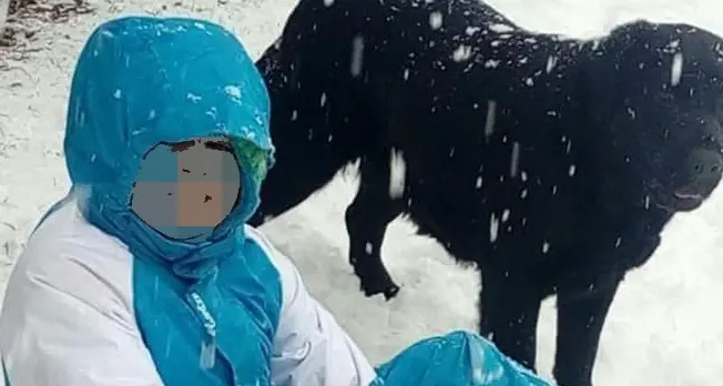 Daré, rapito il cane Raili: amico di un bimbo speciale