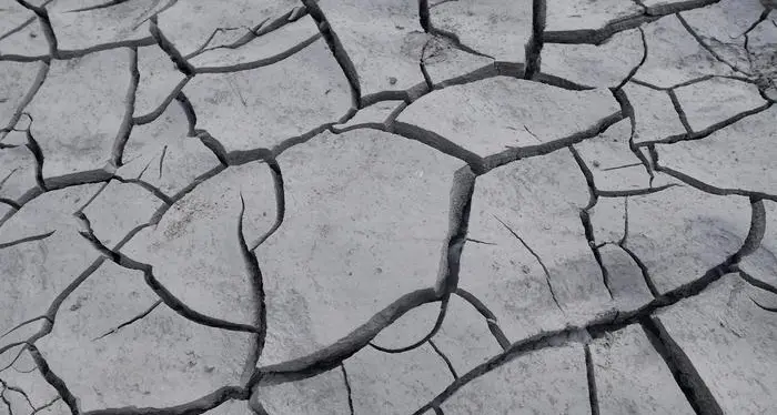 Il 2020 è stato caldissimo: uno dei tre peggiori della storia (e potrebbe diventare il più torrido)