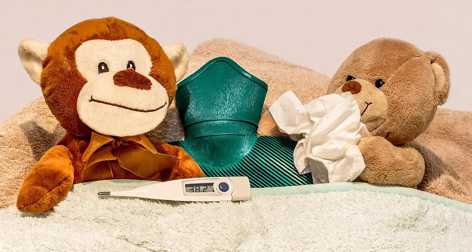 Influenza, il picco arriva a Natale In Trentino il virus arriva prima