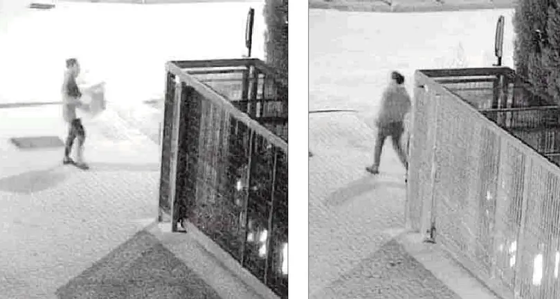 Rifiuti, la fototrappola funziona