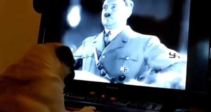 Insegna saluto nazi al cane, condanna per crimine d'odio