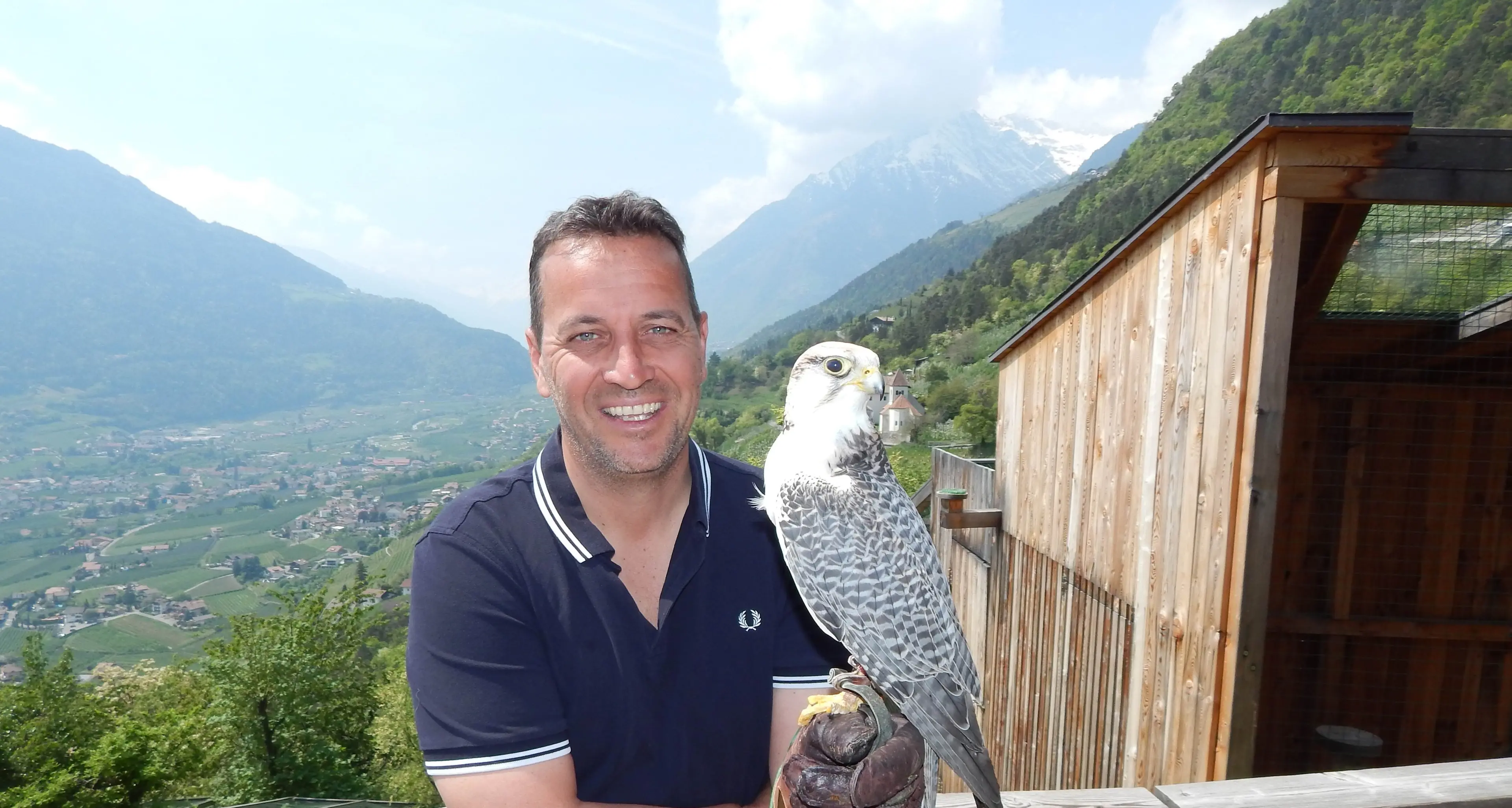 Ritrovato il falco sparito «Polt è tornato a casa»