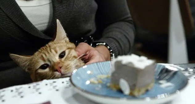 Pasqua in agriturismo per le famiglie con cani e gatti