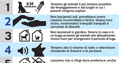 Animali e botti di Capodanno Le dieci regole per difenderli
